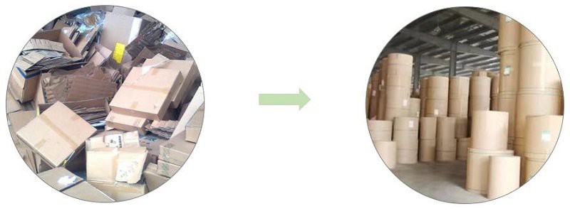 product-800-297 Biodegradable cellophane tape